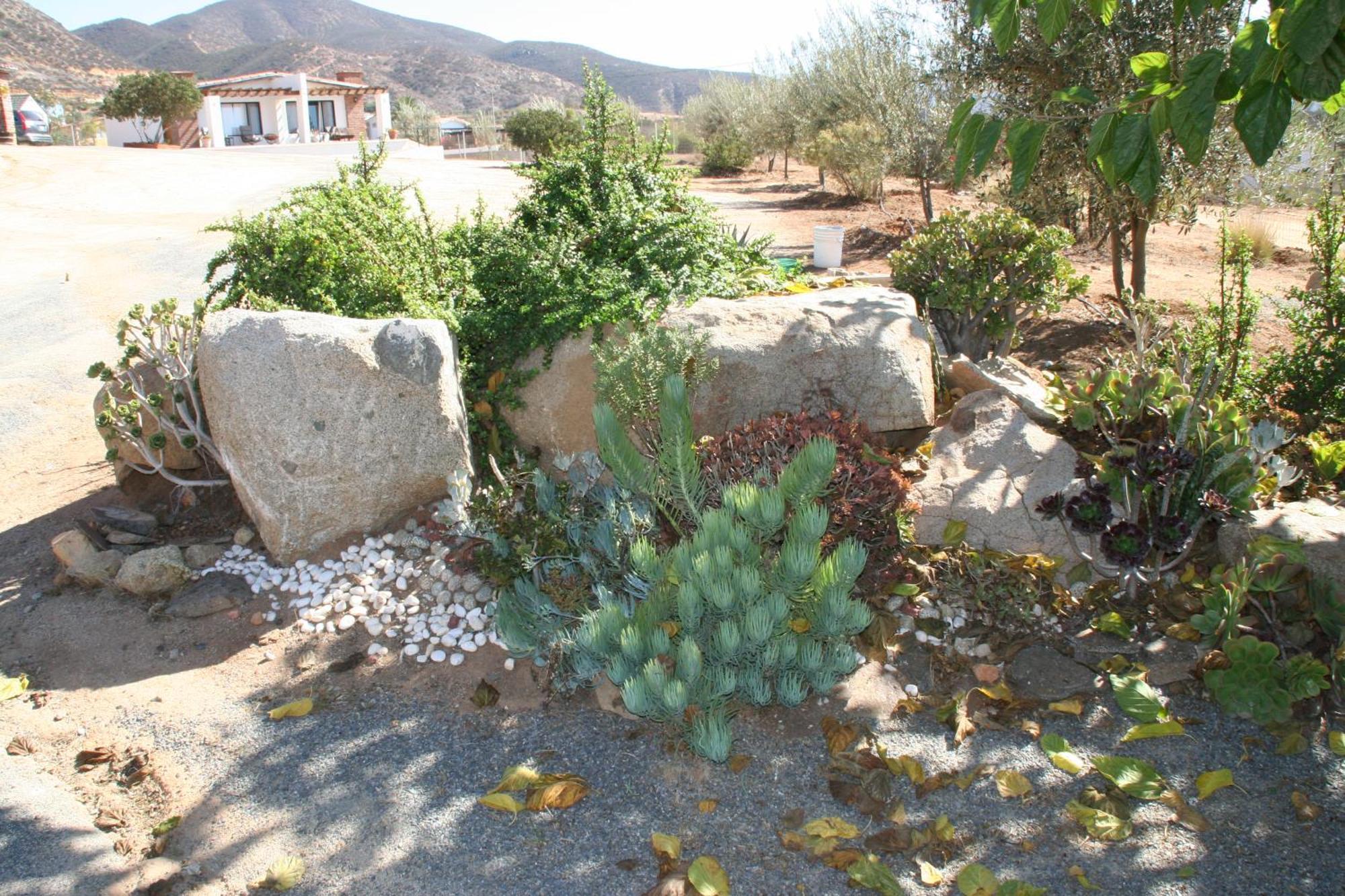 Quinta Sofia Valle De Guadalupe - Solo Adultos エクステリア 写真