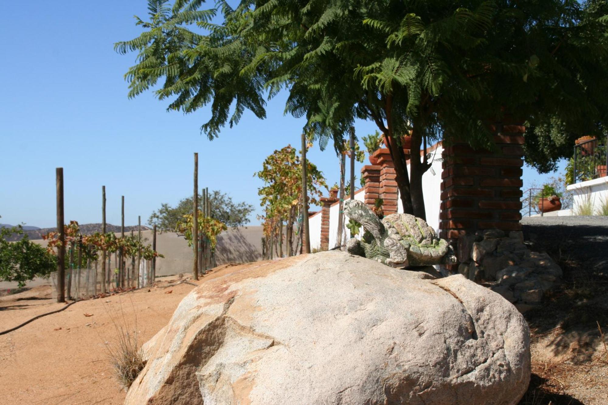 Quinta Sofia Valle De Guadalupe - Solo Adultos エクステリア 写真